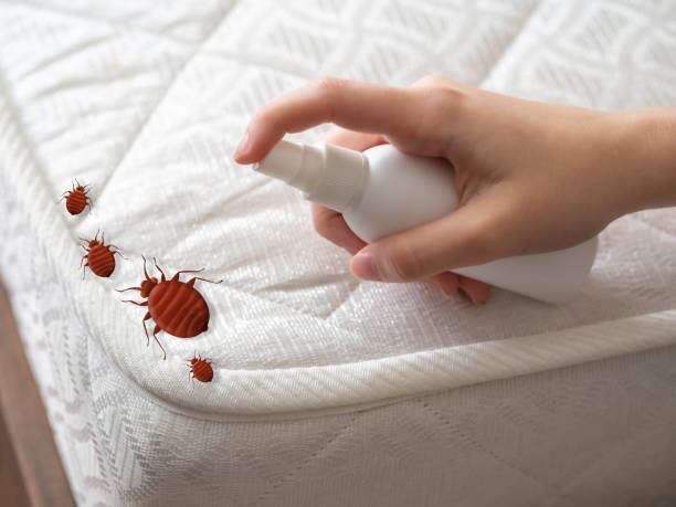 Emergency Pest Control Services in Pleasanton, TX